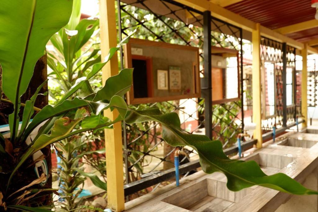 Tropical Breeze Hostel Cebu - Cebu Center Eksteriør billede